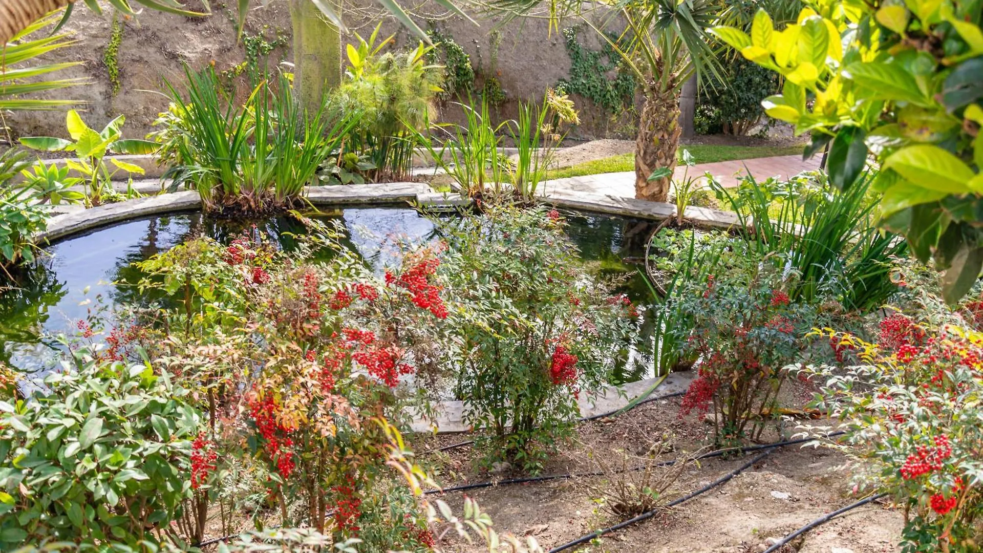 Las Palmas 8B Oasis Properties Nerja 0*,