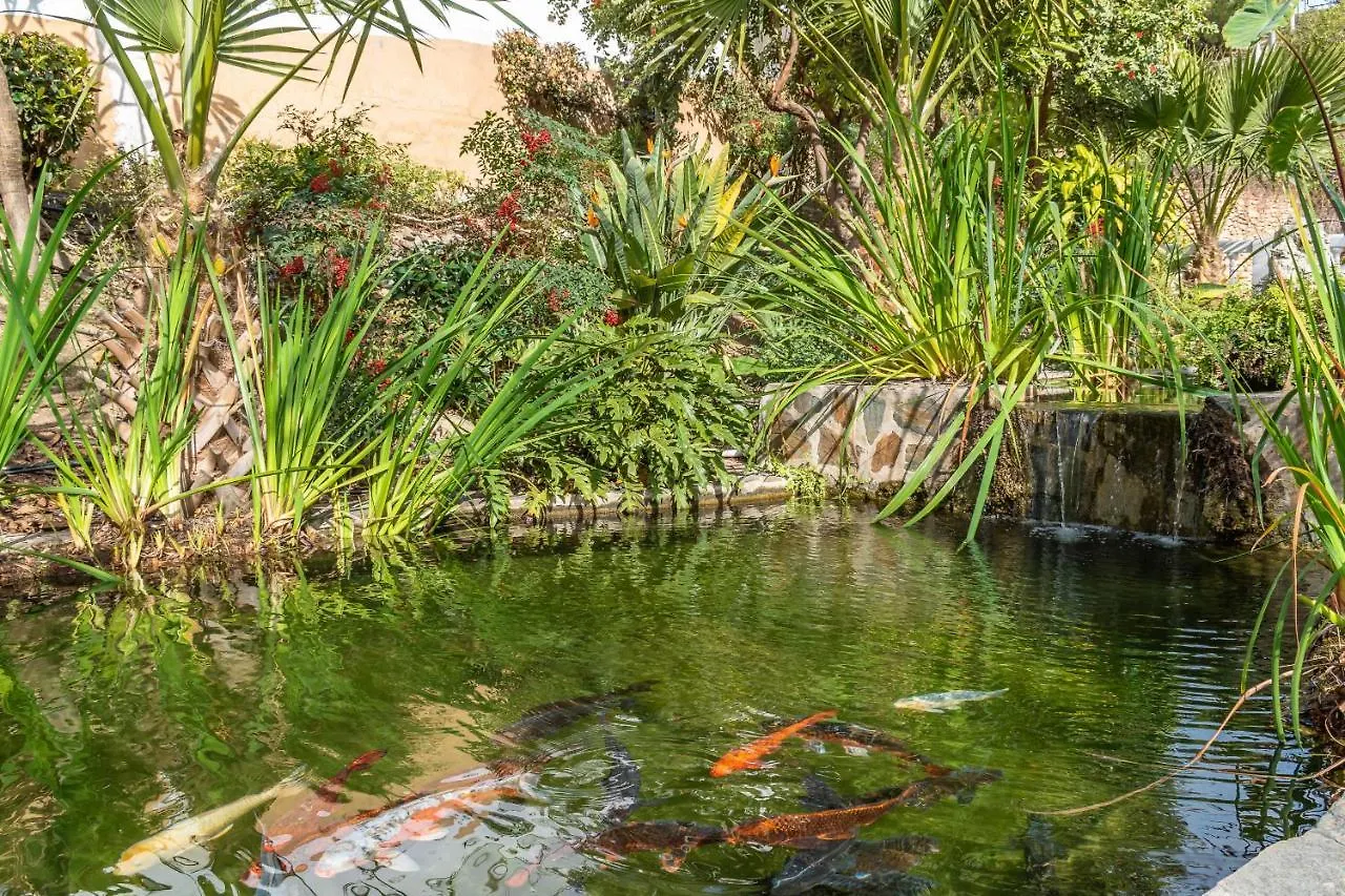 شقة Las Palmas 8B Oasis Properties نيرخا إسبانيا