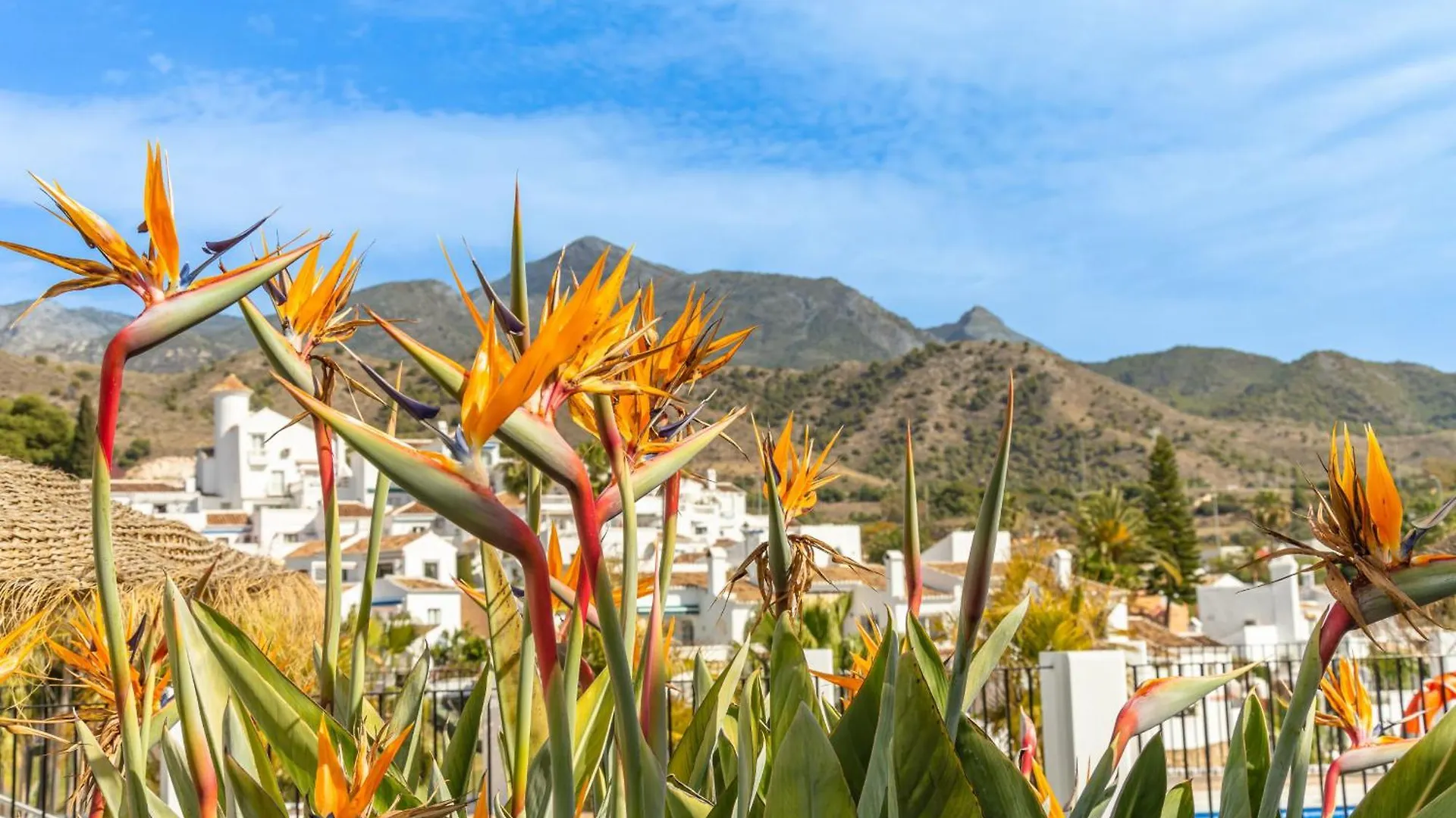 Las Palmas 8B Oasis Properties Nerja Apartment